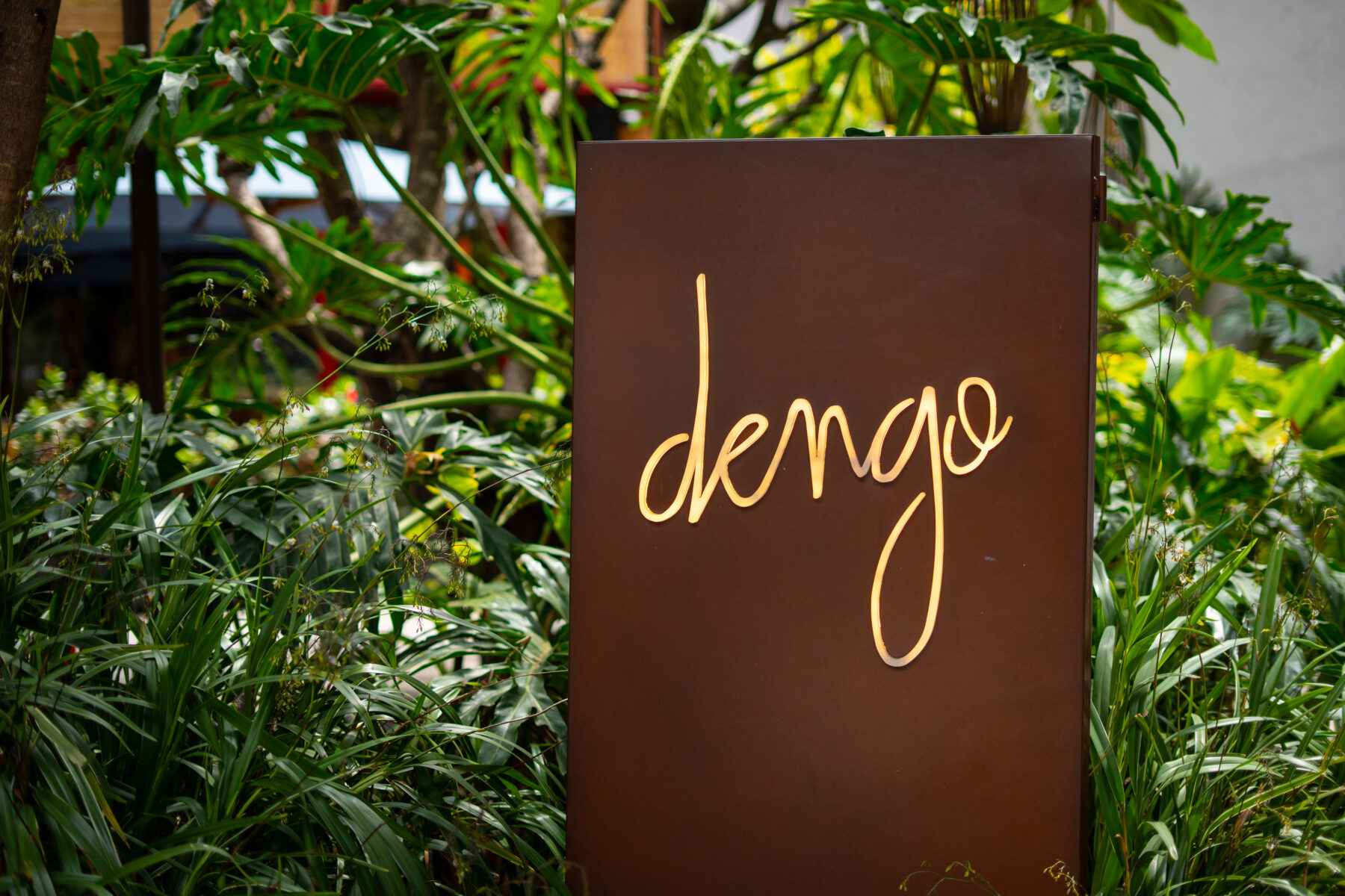 Dengo Chocolates
